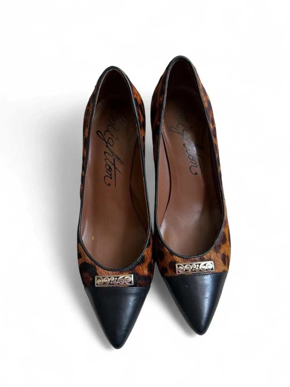 Brighton sophisticated leopard